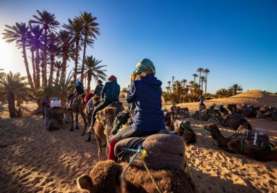 Camel Ride