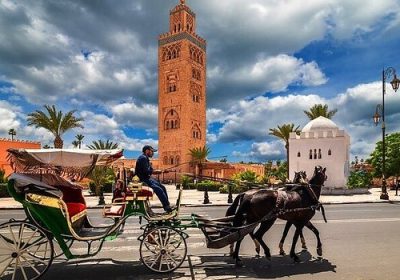 Horse carriage ride