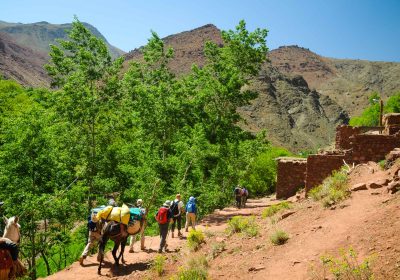 8 Days Trek M’Goun and Tessaout